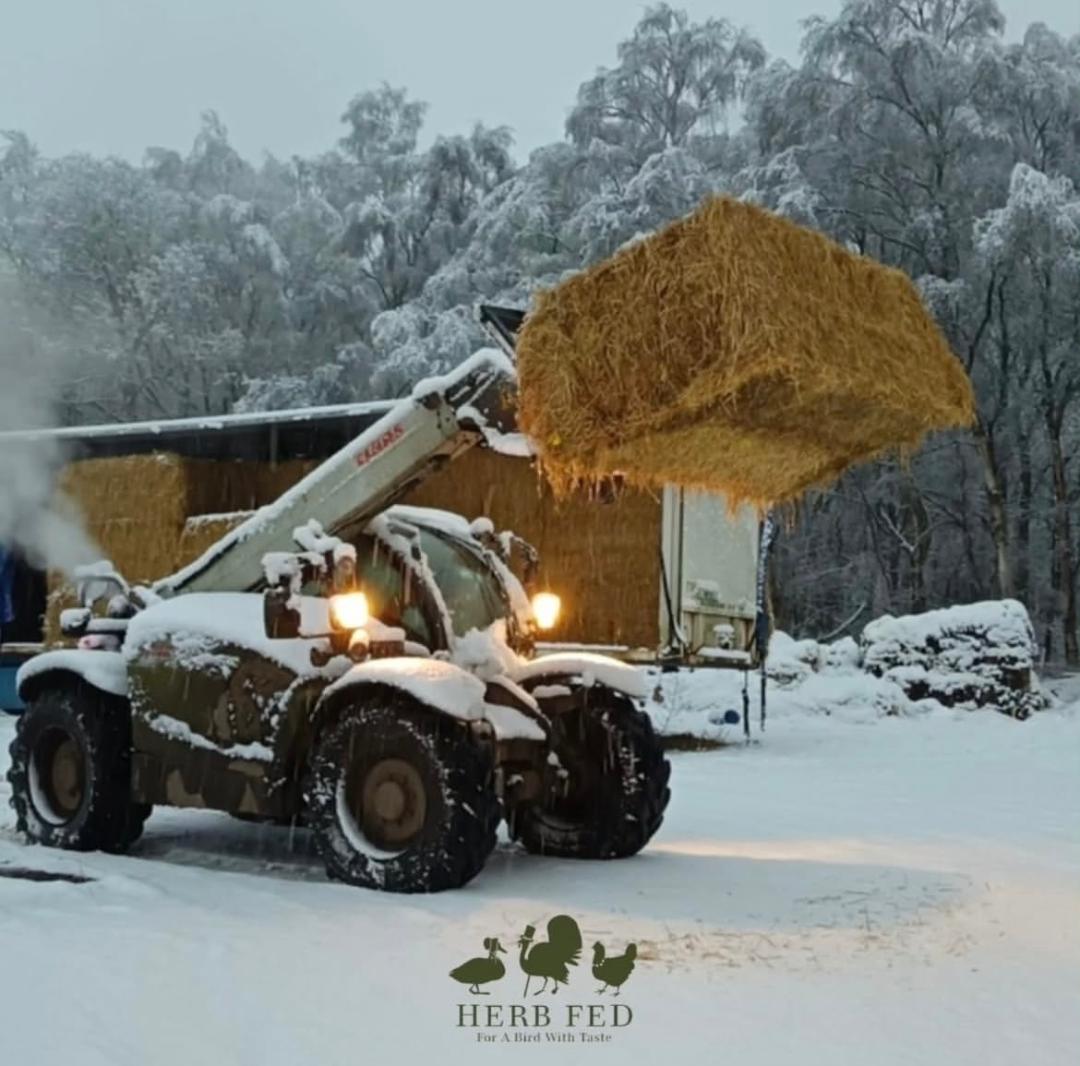 A tractor lifting a bale of hay in the snow | Herb Fed Poultry