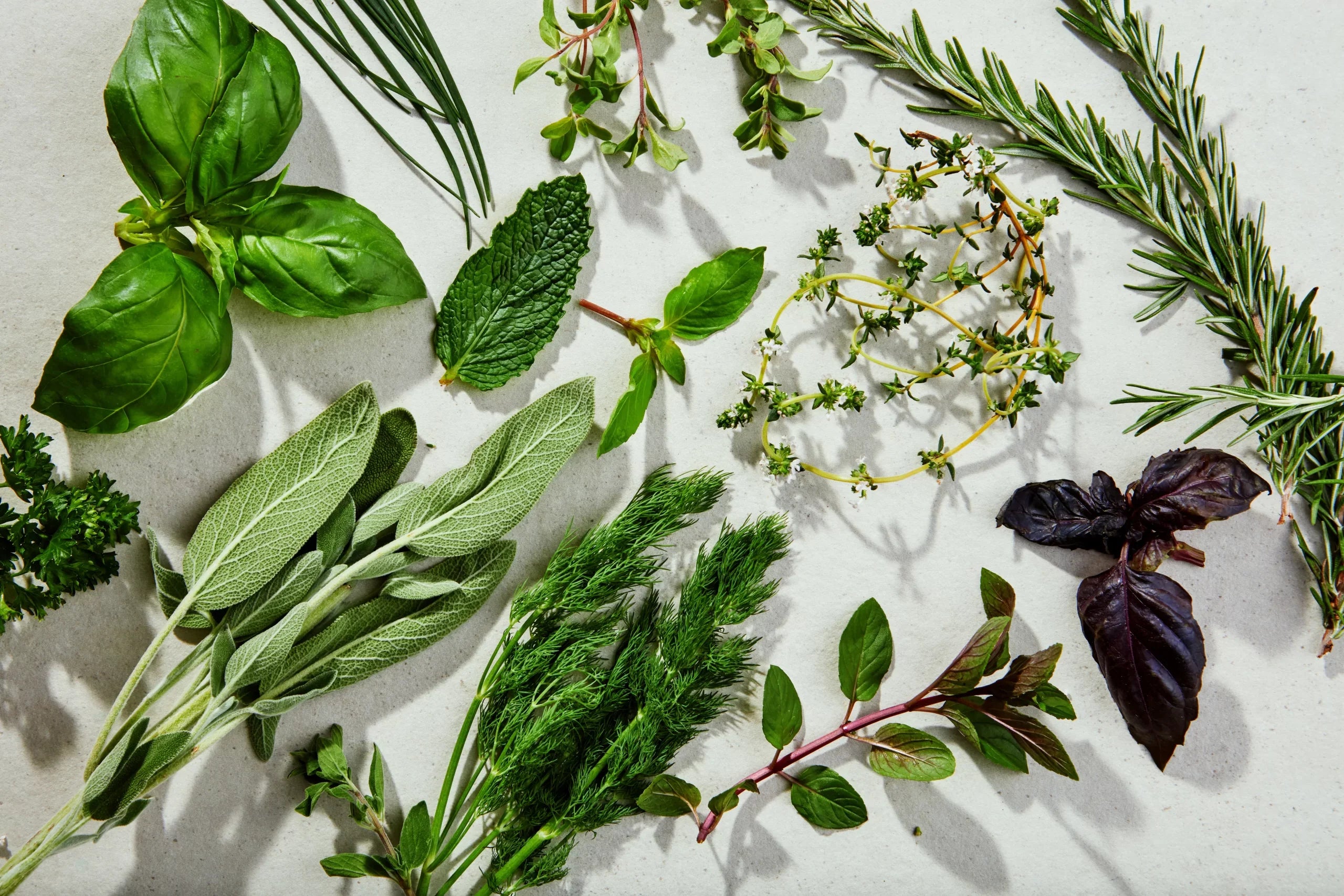 Can Chickens Really Have Favourite Herbs? The Science Behind Chicken Preferences