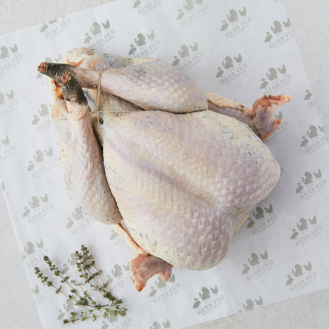 Herb Fed Bronze Turkey legs – Frozen image 1