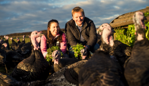 E&E with turkey
